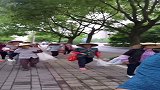 带你们去闯荡，有草就拔，有苗就栽