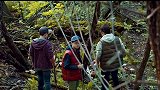 凶手为销毁作案证据 竟活埋尸体养蘑菇 前方高能（上）