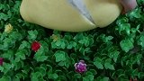 这柚子不错，皮薄肉厚，好吃