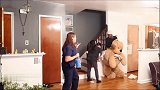 老公扮成泰迪熊整蛊老婆，不料惨遭老婆用皮带抽打