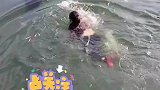 老人落水漂浮在水面，情况紧急，女子毅然跳入河水救人！