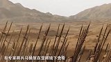 将兵马俑放显微镜下，开出白色“花朵”，考古专家：我们犯了大错