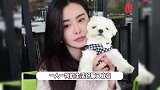 王祖贤独自外出被偶遇，打扮精致美回年轻时，一人一狗生活好悠闲