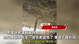 养猪场花10年布满蜘蛛网，恍若置身盘丝洞惊呆网友：防蚊虫咬猪