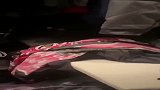 别养黑猫，因为大家可能不知道，它会躲在哪里！