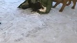 妞妈在院子里扫雪，蛋总就是不让她扫