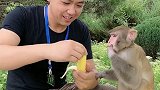 餐后香蕉