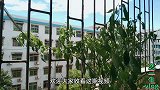 买几注彩票试运气，真有这么难中吗？老板说他店里几年没中过大奖
