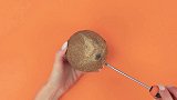 生活窍门：6个创意DIY仓鼠容器，黑客创意手工艺！