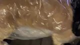 外出遛狗突然下雨，主人自制雨衣给狗狗穿上