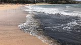 可怕！澳大利亚山火持续肆虐，灰烬染黑悉尼海滩