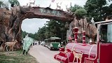 用心亲近自然松鹿部落