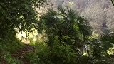 枯藤老树古道西风