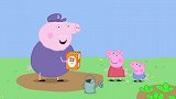 小猪佩奇：花园里来了群小鸟，它们偷吃种子，猪爷爷决定扎稻草人