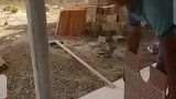 困扰很久的谜题终于揭开了
