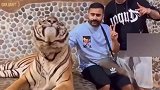在泰国和老虎合影，大哥估计再也不敢了，吓的撒腿就跑