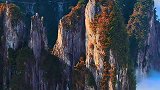 在粤湘交界处，有一处美丽的风景，这里有悬崖电梯、奇峰、云海，