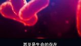 在火星上安装人工大气层