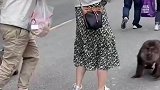 男子拿着零食上山，猴子发现后抢夺