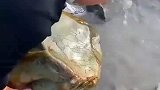 河边发现一块奇石，朋友说价值十万