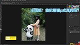 网友想p成真熊猫，小当家：国宝能乱摸的吗？那是另外的价钱