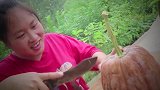 胖妹收到亲戚送的大礼，高兴的回家做南瓜饭，大洋：胖子财迷样儿