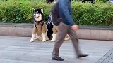 没坏人敢对孩子下手吧！！