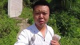 夏天鲤鱼就喜欢这种地方，打窝不到30分钟，连竿了