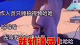 爱豆和助理的相爱相鲨，大华的笑死我了～