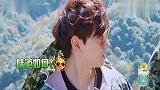 汪苏泷姜妍体验吃野生蜂蜜,一口下去太爽了,好好吃啊!