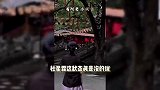 张纪中妻子挺孕肚祈福，生图暴露真实状态，走路小心获专人搀扶