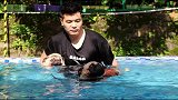 遗忘是一件好事吗？对于曾被遗弃过的毛孩子来说