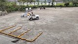 岁萌娃倒车入库，现场模范教学，真是个高手！