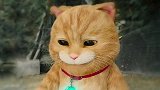 猫咪飞船返回喵星，一道绿光照耀地球，所有人都忘了喵星人的存在