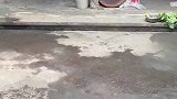 好帅呀，酷毙了