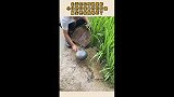 生活在农村就是好，小伙把竹筏拿开