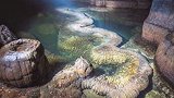 山洞中发现“真龙”，当地居民无人敢靠近，专家：起码存在了上亿年我就是这么豪横的银  银基广场