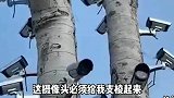 就这些摄像头，小偷见了都得绕道走