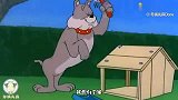 四川方言版猫和老鼠：可怜的莽哥，他只是想有个属于自己的狗窝