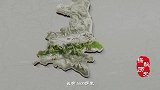 秦岭为何称为中国龙脉一道巨大屏障，改变中国的历史格局