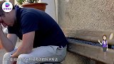 狼群围殴小熊，母熊以一敌五，结局万万想不到啊