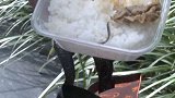 重庆：女子点外卖吃出蚯蚓 店家：说明咱的菜没打农药