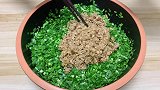 饺子要好吃，调馅最关键，教你饭店不外传的韭菜饺子馅，鲜嫩多汁
