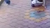 这才是无影手，偷鸡都找不到证据
