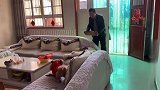 我家泰迪一大早就和男主人开战，这场面一般人都控制不住