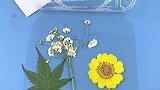 一起来diy春天的书签