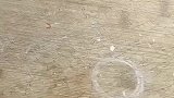 女子想解冻块肉吃，结果肉连水一起结冰了