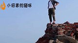 阿聪赶海遇上鱼窝，一把竹竿将其捣破，捕获巨鱼轻松到手几百块