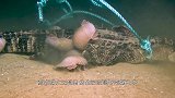 虫生第一次吃鳄鱼肉，虫群直接就疯了，扑上去就疯狂撕咬！