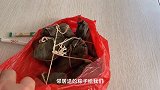 深圳创业打拼，餐馆今天第一个客人开张好，全天生意都不错，加油